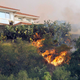 Image for article titled Impressive images of the California wildfire